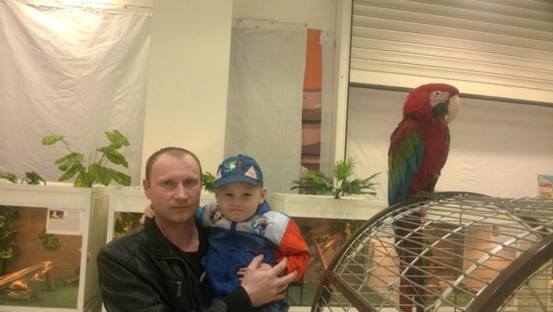 Медведев Александр Федорович